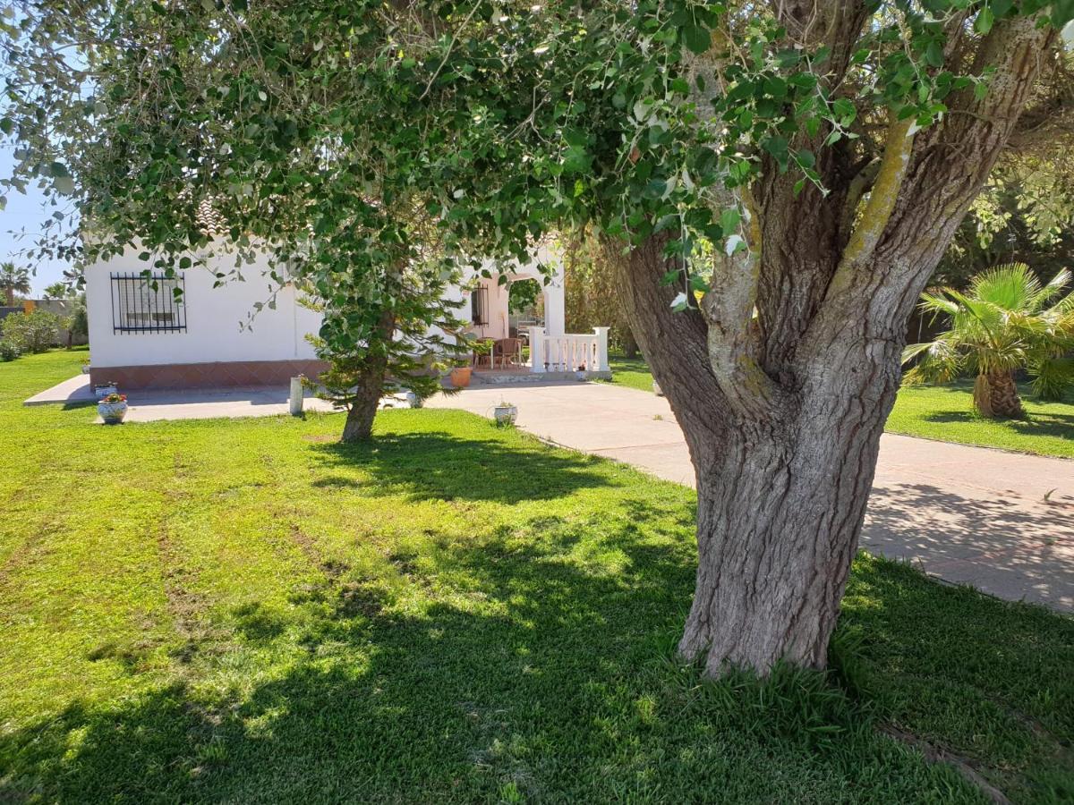 Vila Casa Francesca, 90 M2, Jardin De 1500M2 Hozanejos Exteriér fotografie